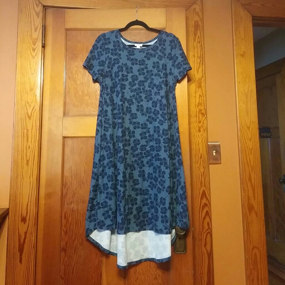 LulaRoe Carly dress- size M